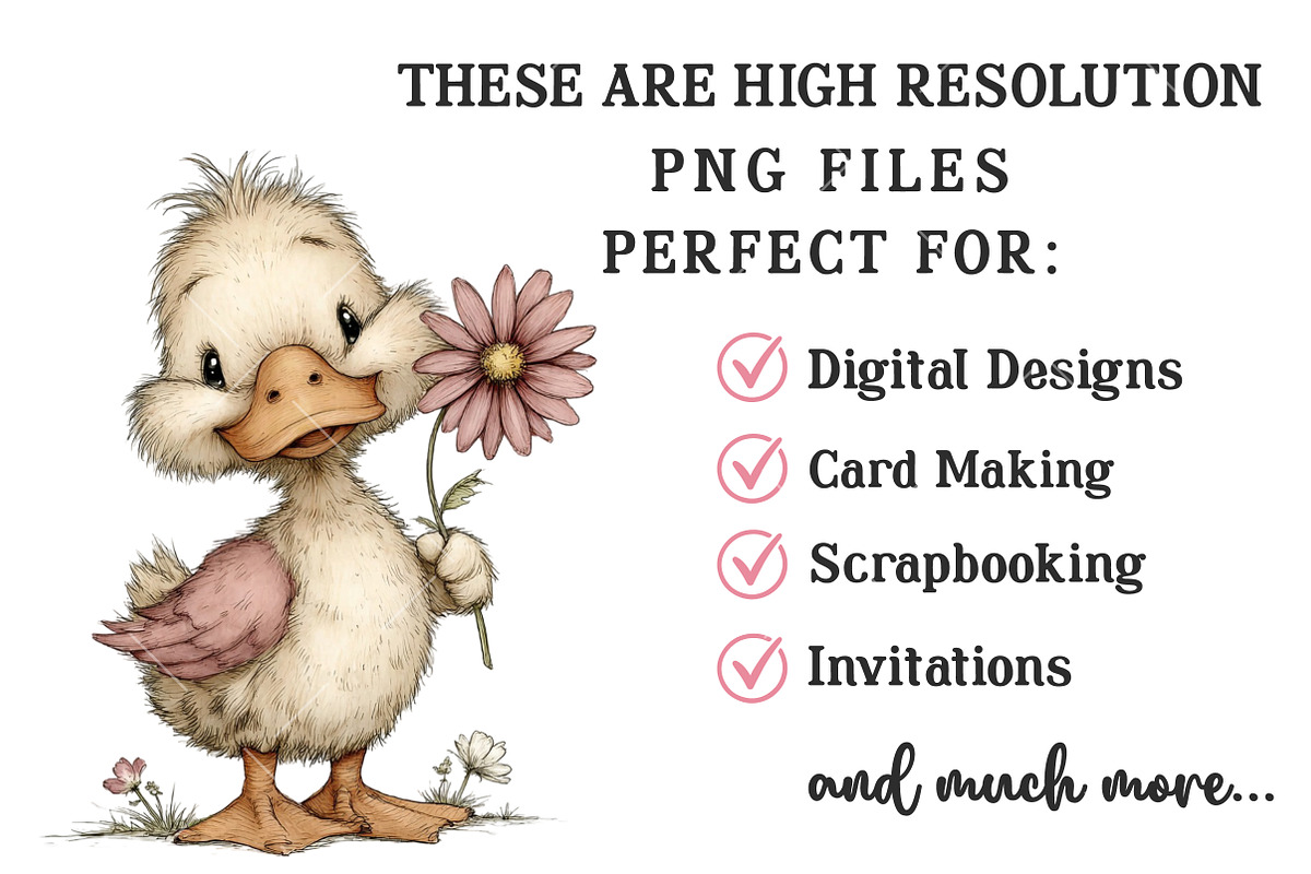 Whimsical Spring Duck Clipart, an Illustration by OK Design (Photo 4 of 6)