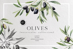 Olives. Watercolor Collection