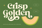 Jungle Melon Groovy Display Serif, a Serif Font by timelesstype.co (Thumbnail 3 of 20)