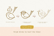 Procreate Bird Drawing Toolkit, a Brush Add-On by Lisa Glanz (Thumbnail 2 of 13)