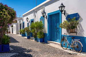 Blue-doored street with plants, a Photo by Beautiful things