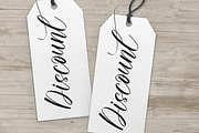 Sunflower In Summer Font, a Script Font by Scratchones (Thumbnail 4 of 7)