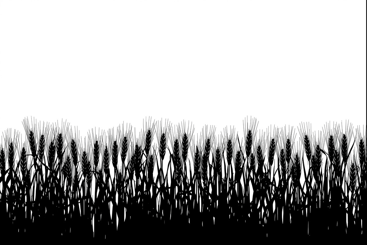 Harvest Wheat Border Designs, an Illustration by Creativeshirt (Photo 9 of 9)