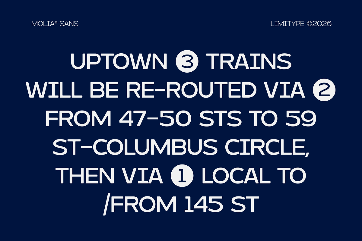 Molia - Sans Serif Font, a Sans Serif Font by limitype (Photo 5 of 12)