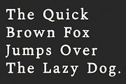 Shine Typewriter Serif Font, a Serif Font by Creativetacos (Thumbnail 4 of 10)