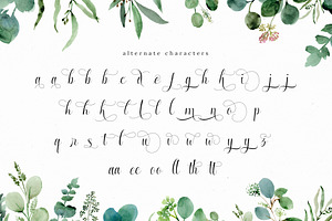 Enchanting Script Font