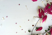 BUNDLES OF BLISS–Styled Stock Photos, a Product Mockup by Pepperbelle Tinkers (Thumbnail 2 of 9)