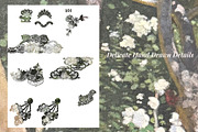 Lace Frames & vector Lace Brushes, an Object Graphic by MayBay Studio (Thumbnail 4 of 7)