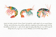 Watercolor Shrimp Clipart Set, an Illustration by Libby Wishes (Thumbnail 6 of 8)