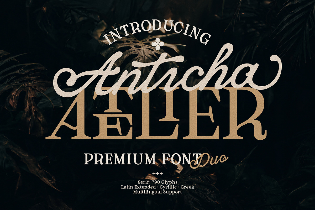 Anticha Atelier – Luxury Font Duo, a Handwritten Font by Nollev (Photo 1 of 14)