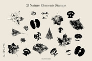 Abstract Autumn Flora, an Object Graphic by Creativemaker (Thumbnail 4 of 11)