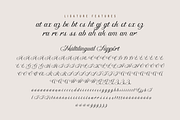 Bidena | Script Font, a Script Font by twinstd (Thumbnail 10 of 11)