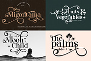 The 2021 Elegant BUNDLE-12 Typefaces, a Serif Font by Qaratype (Thumbnail 3 of 13)