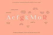Radiograph, A Serif Font, a Serif Font by Up Up Creative (Thumbnail 4 of 12)