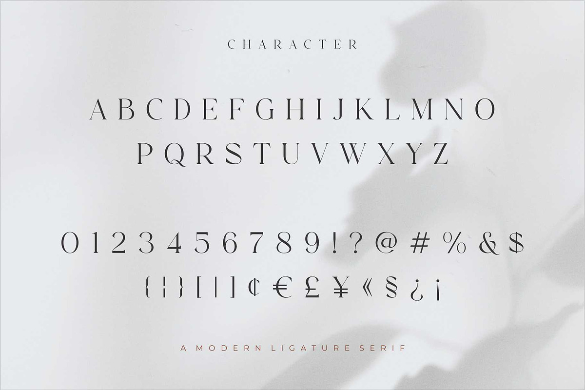 Lionary Modern Serif Font, a Serif Font by Dylla_studio (Photo 10 of 11)