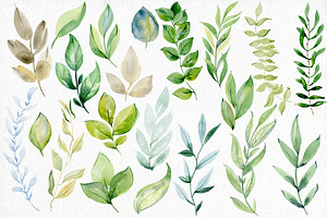 Watercolor Leaves Clipart.