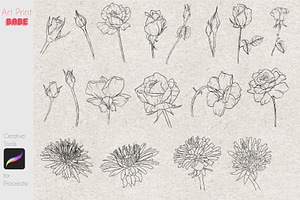 Procreate Line Art Flower Stamps