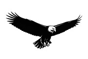 50 Flying Eagle Silhouette Vector Bu, an Illustration by Designs_River (Thumbnail 15 of 51)