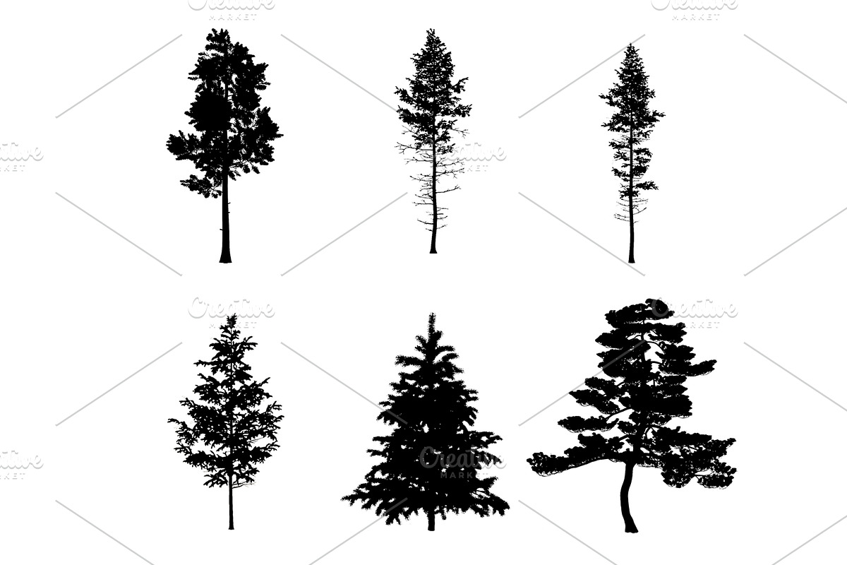 Pine Tree Photoshop Brushes, a Brush Add-On by MISS CHATZ