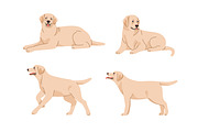 Labrador retriever dog set, patterns, an Animal Illustration by Good Studio (Thumbnail 3 of 11)