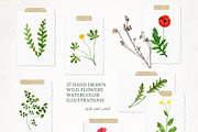 WILDFLOWERS Watercolor Set, a Pattern Graphic by Katerina Osa (Thumbnail 9 of 12)