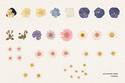 242 Vintage Dried Flowers, an Object Graphic by Ksuview (Thumbnail 7 of 11)