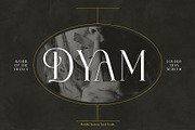 Mobilla Serif Elegant, a Serif Font by alit design (Thumbnail 15 of 16)