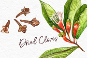 Star anise, Cinnamon, Cardamon, a Food Illustration by Ann Astro (Thumbnail 3 of 6)