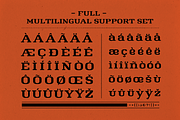 Old Boy, a Serif Font by Foundry73 (Thumbnail 4 of 5)