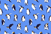 King penguins set + seamless pattern, an Animal Illustration by PaperTrident (Thumbnail 3 of 4)