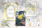 Watercolor and sketch daffodils, a Decorative Illustration by TatiArti (Thumbnail 2 of 13)