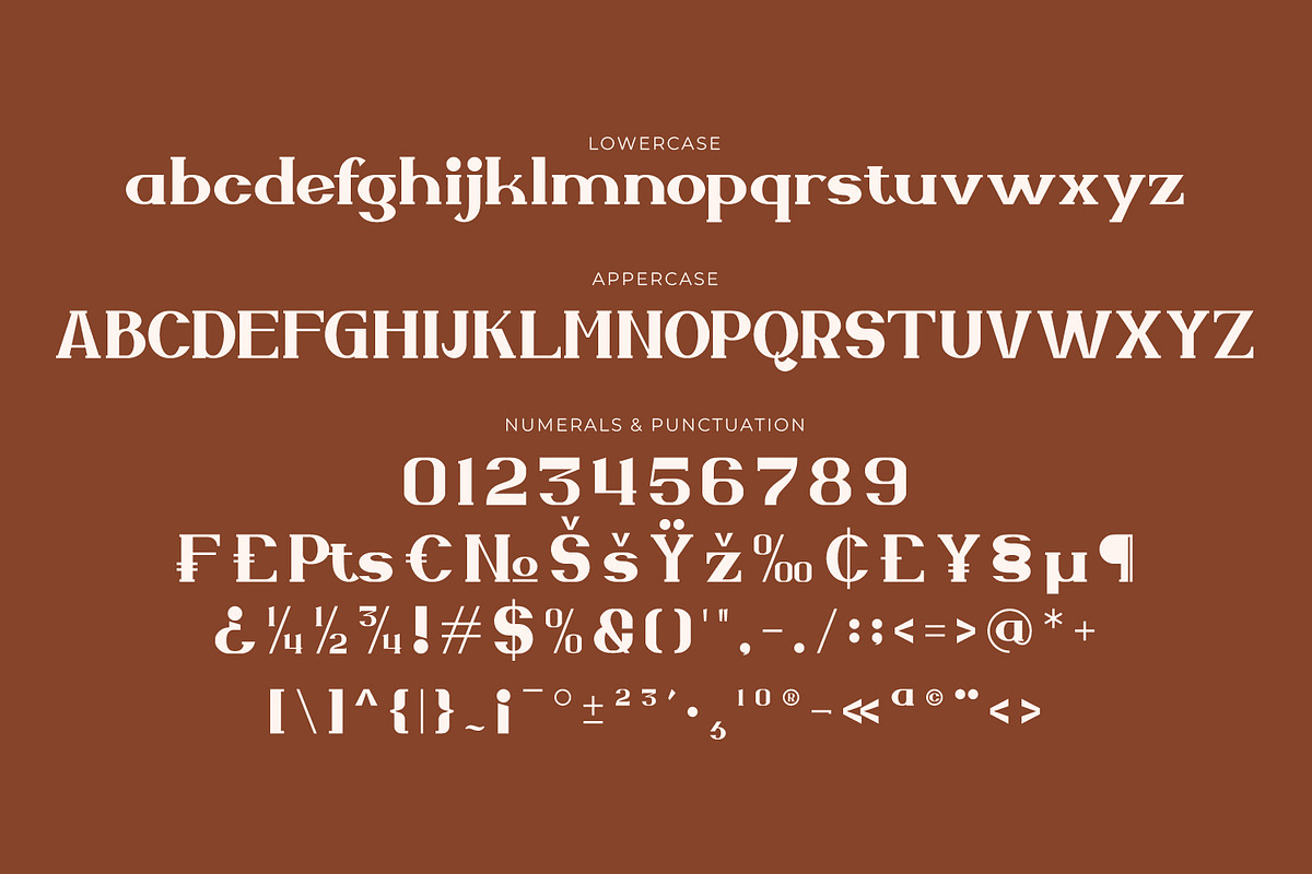 Zellique - Modern Serif Font, a Serif Font by Rishsketch (Photo 12 of 15)