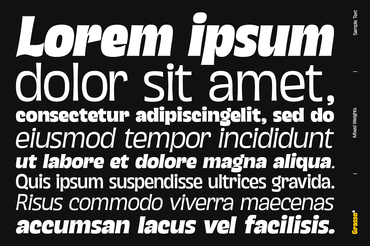 Grasso Variable, a Sans Serif Font by Unio Designs (Photo 7 of 14)