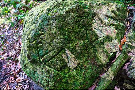 Prehistoric rock carving covered in, a Nature Photo by Leonid Andronov