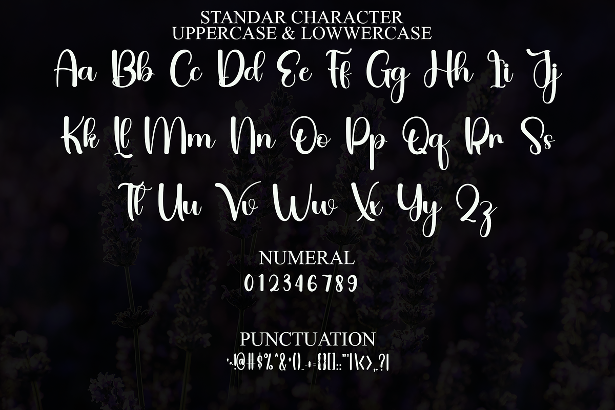 Vintage Glaudusa, a Handwritten Font by FreshTypeINK (Photo 2 of 8)