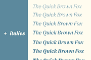 Femero - Modern Serif Family, a Serif Font by Creative Foundry (Thumbnail 3 of 9)