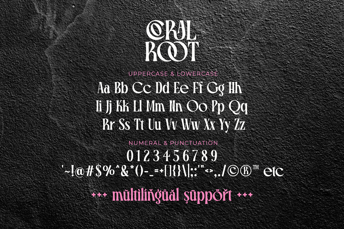 Coral Root - Stylish Serif Font, a Serif Font by Airotype (Photo 11 of 13)