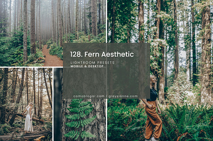 128. Fern Aesthetic