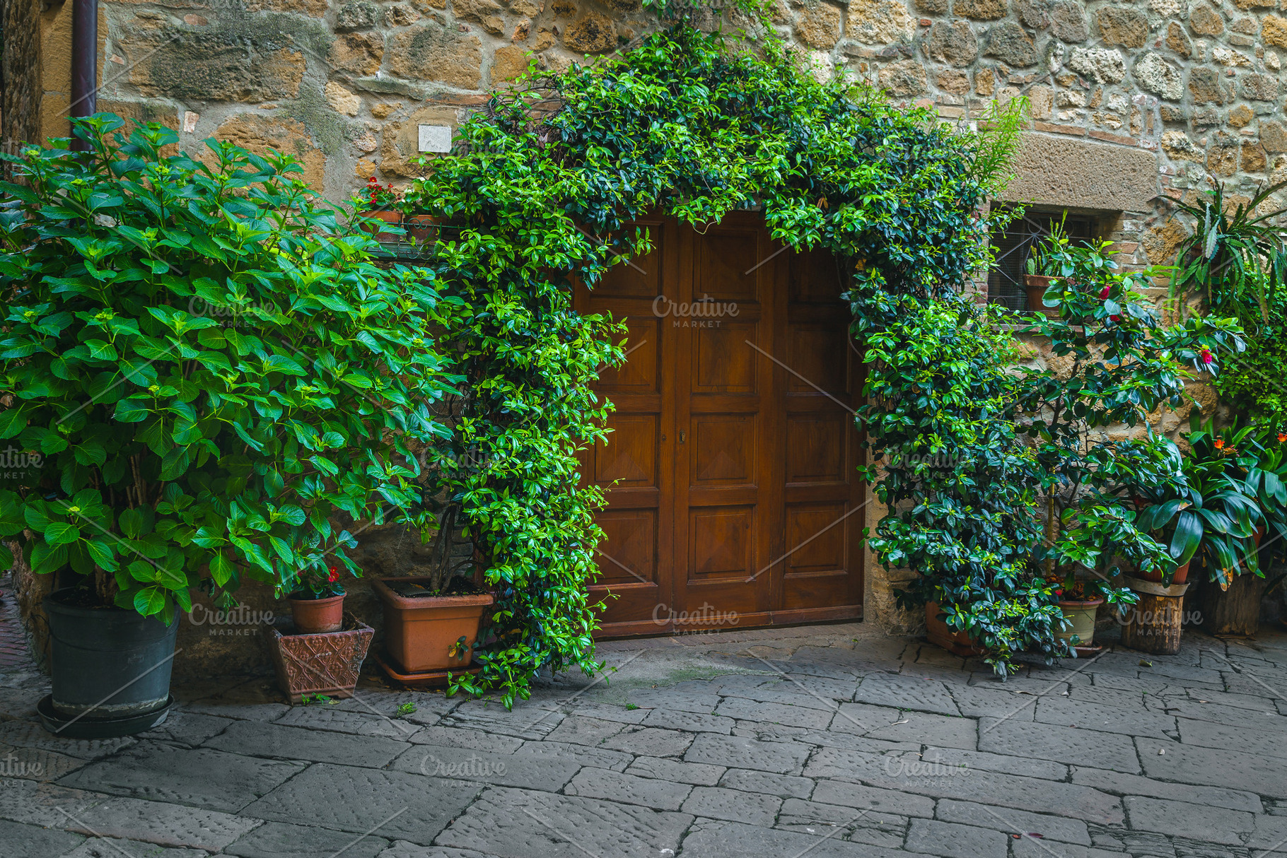Cozy entrance decorated with plants, an Architecture Photo by Alpine Dreams