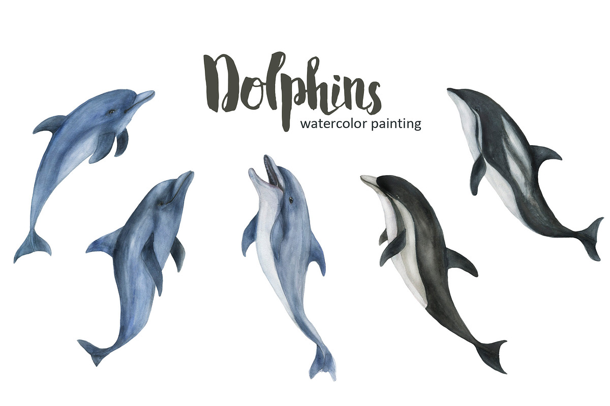 Dolphins - watercolor painting, an Animal Illustration by ramika (Photo 1 of 4)