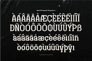 Original Regional | Display Font, a Slab Serif Font by Denustudios (Thumbnail 12 of 12)