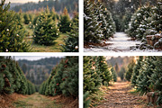 Christmas Tree Farm Backdrop BUNDLE, a Layer Style Add-On by Wild Honey Design Co. (Thumbnail 4 of 4)