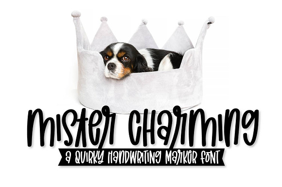 Mister Charming - A Quirky Font preview 8
