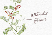 Wildflowers & Gardenflowers clipart, a Decorative Illustration by Ann Astro (Thumbnail 8 of 9)