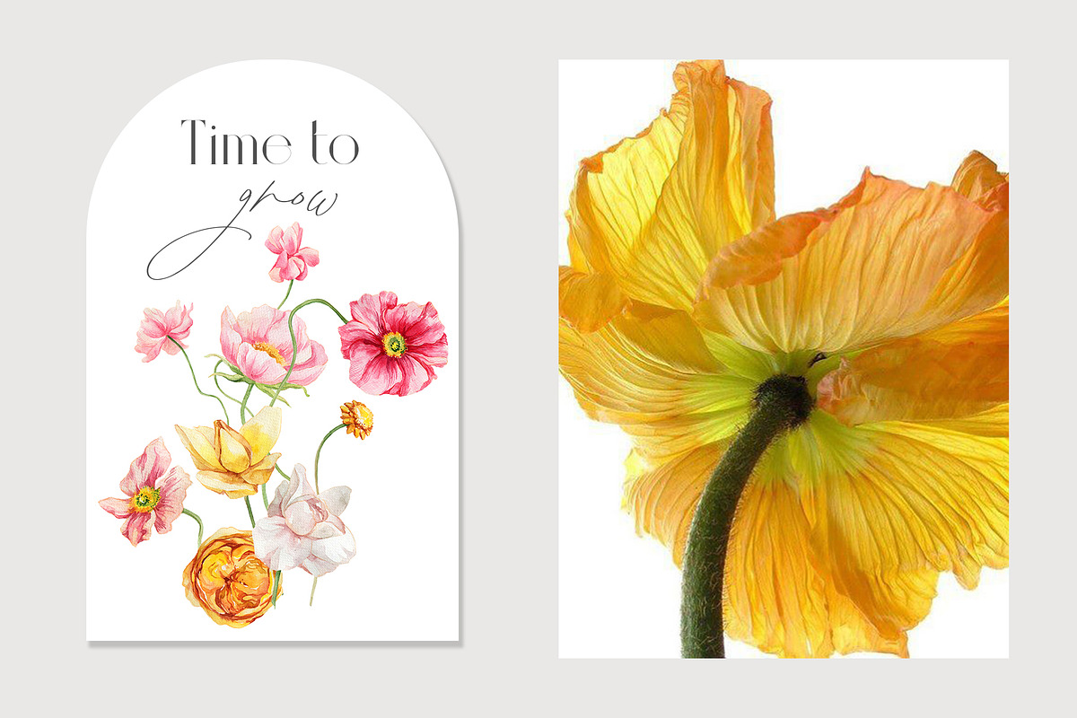Watercolor set Spirit of Spring, a Texture Illustration by Antikva17 (Photo 3 of 10)