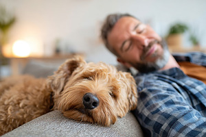 Man and dog napping together on a cozy sofa in a warm living room, a Photo by AlyaAnd