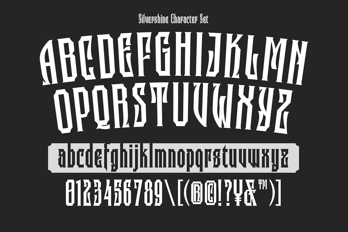 Silvershine, a Symbol Font by Nathatype (Photo 8 of 11)