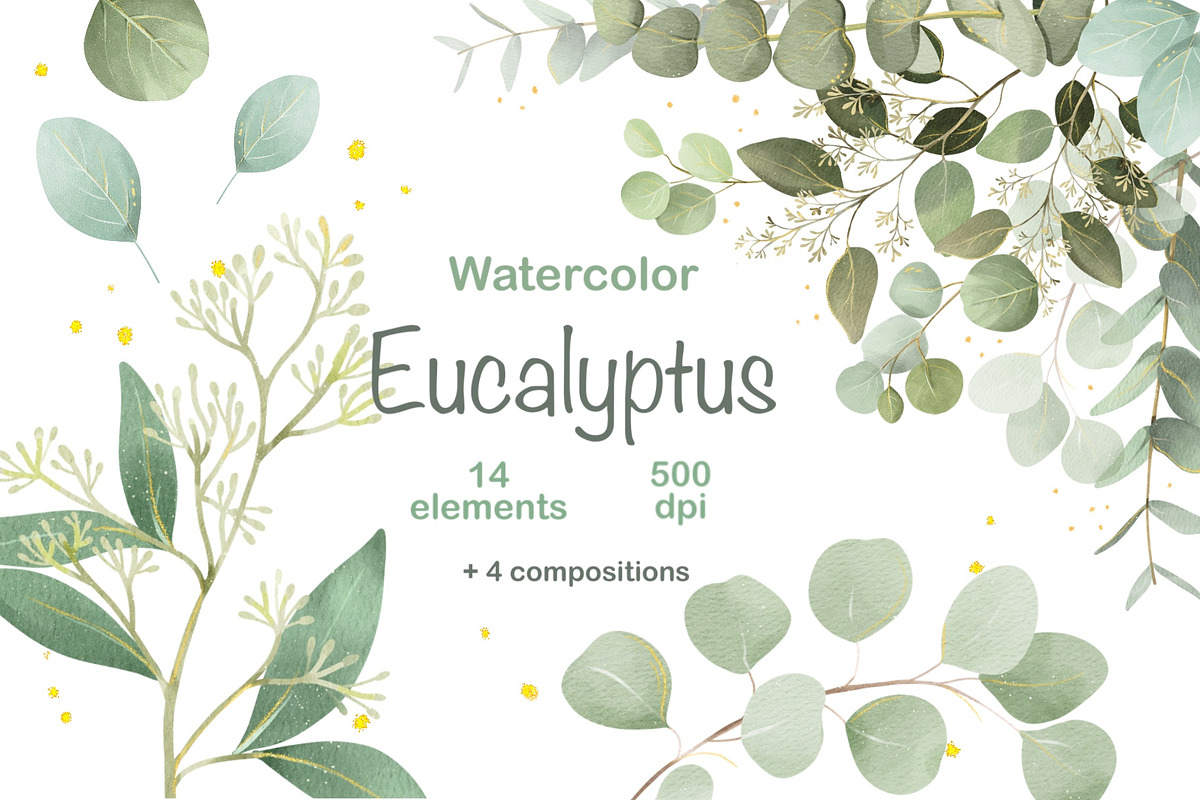 Watercolor Eucalyptus Clipart, an Object Graphic by ArtGiftsStudio (Photo 1 of 6)