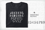 Tamarind Font Duo, a Sans Serif Font by Webvilla Studio (Thumbnail 5 of 5)