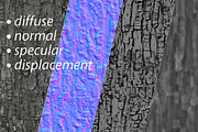 Tree bark texture set, an Environmental 3D Model by happy brush (Thumbnail 3 of 3)